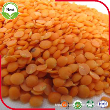 100% Red Lentils Without Husk